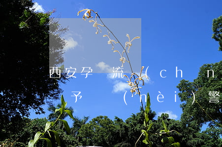 西安孕婦流產(chǎn)事件多人被處理 給予黨內(nèi)警告處分有什么影響？